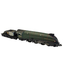 2S-008-CL18 N Gauge Spares A4 - Complete Loco 60013, No Tender Bodyshell